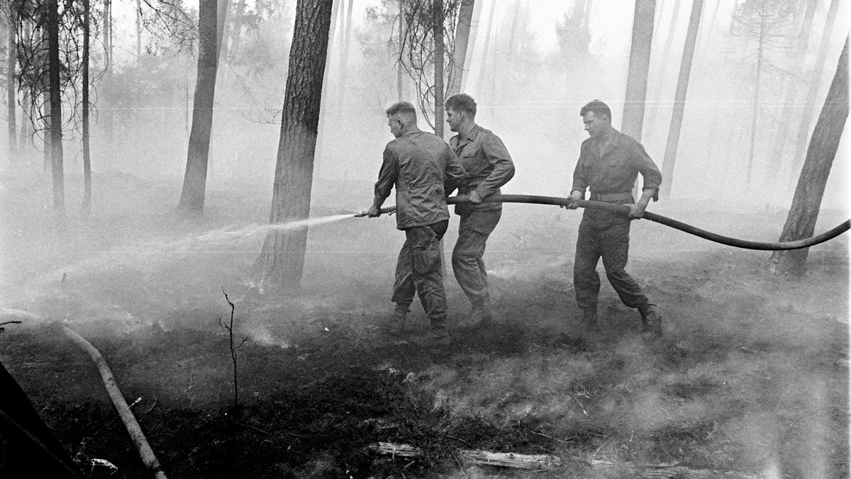 Wielki pożar lasu w Kuźni Raciborskiej w 1992 r.