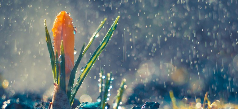 Ochłodzenie i obniżenie temperatur. Prognoza pogody na wtorek 10 czerwca 2025 roku
