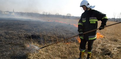 Uratują łąki po pożarze