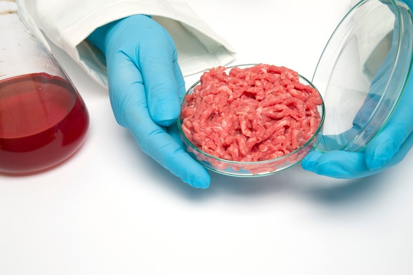 Laboratorijsko meso
