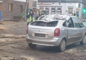 Taksi vozilo na koje je palo drvo Bačkoj Topoli