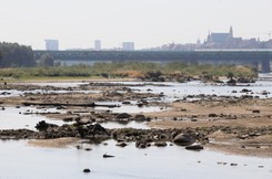 Susza dotknęła 800 tysięcy hektarów upraw. Straty to ok. 550 mln zł!