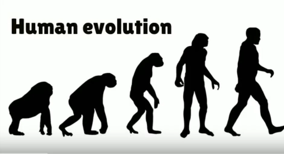 Evolucija čoveka