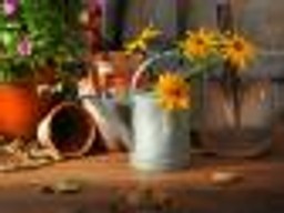 Ogródki działkowe są zwolnione z podatków