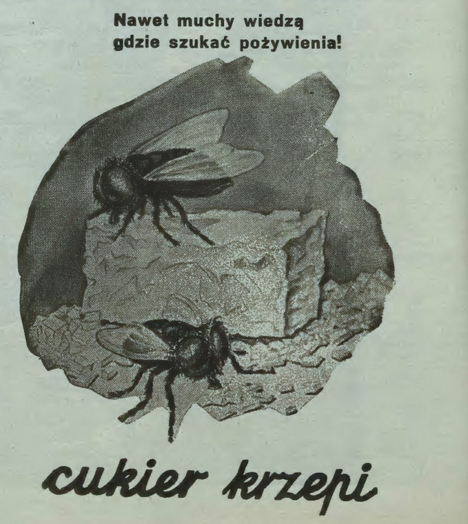 Przedwojenna reklama cukru. O dziwo nie każdego przekonywała, że lepiej słodzić legalnym i obłożonym akcyzą cukrem, niż słodzikiem