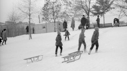 Szybki i trudny QUIZ. Ferie zimowe w PRL. Kto wtedy nie zjeżdżał na sankach, odpada z gry