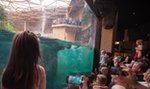 Zapłać bonem turystycznym w Orientarium Zoo Łódź