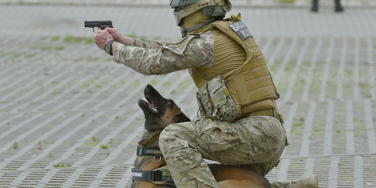 Psy służbowe będą mogły otrzymać stopnie od szeregowego do sierżanta.
