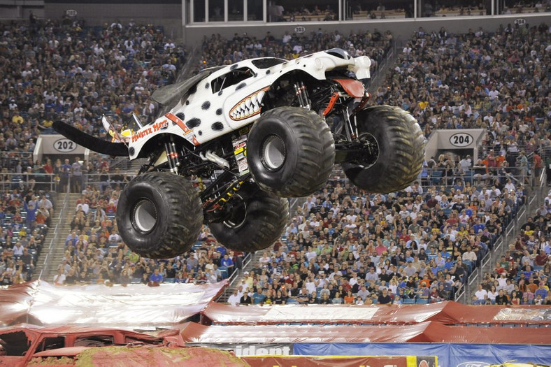 Monster Mutt Dalmatian