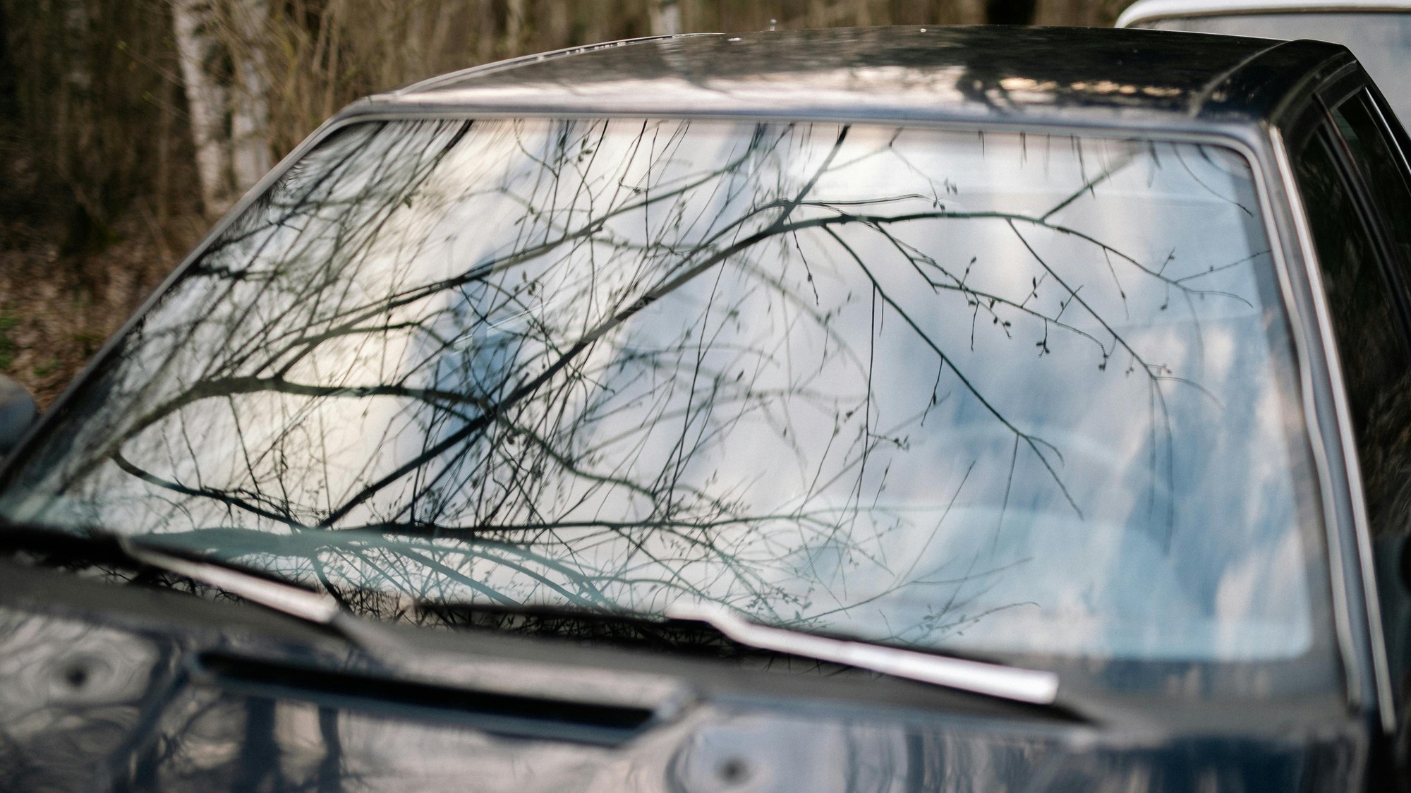 Koniec hrdze a mastného filmu: Ako obyčajná zelenina z kuchyne zachráni vaše auto!