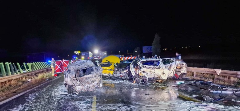 Tragiczny karambol na S7. Najmłodsza ofiara miała 7 lat. Nowe ustalenia