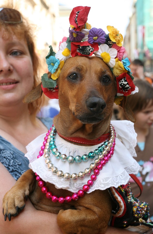 KRAKÓW MARSZ JAMNIKÓW