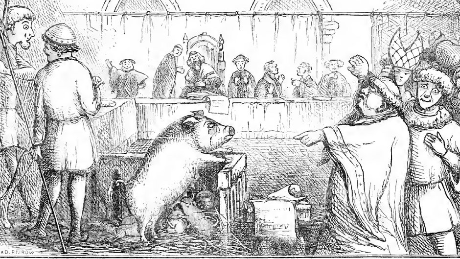 XIX-wieczna karykatura przedstawiająca artystyczną wizję średniowiecznego  procesu świni