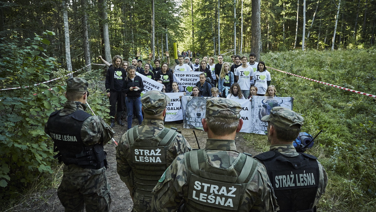 Wczoraj wieczorem zakończyła się blokada tira w Nadleśnictwie Hajnówka. Firma kupująca drewno zdecydowała się go rozładować i pozostawić wycięte drzewa w lesie. Nadal trwa natomiast protest w Nadleśnictwie Białowieża w okolicach miejscowości Teremiski.