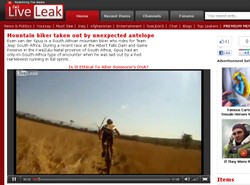 Pędząca antylopa uderzyła w kolarza. Zobacz wideo!