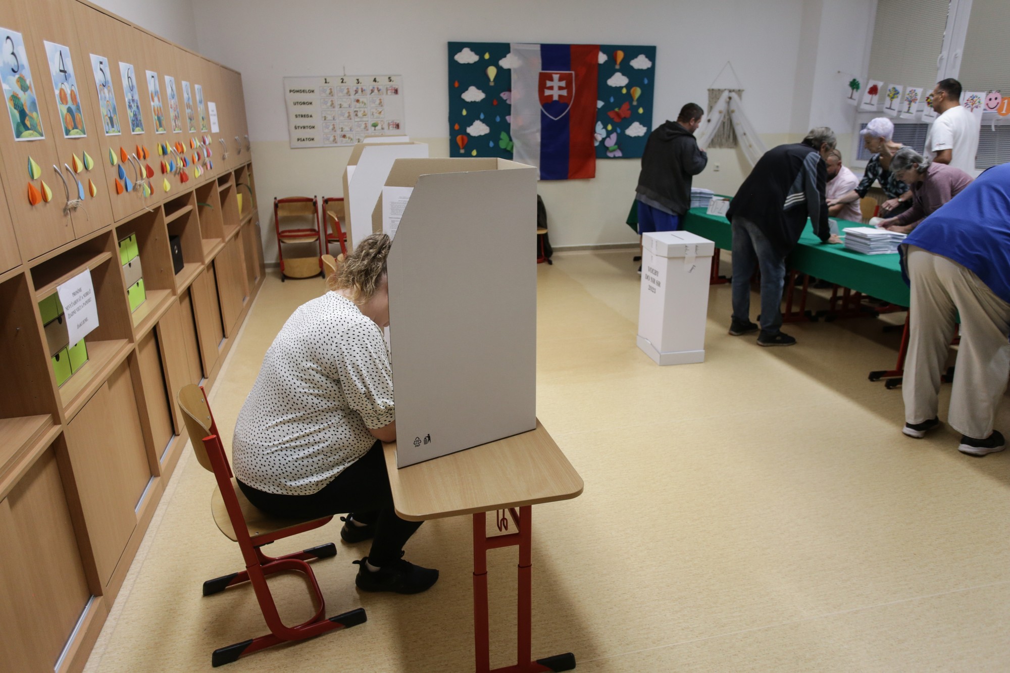 Predčasné parlamentné voľby na Slovensku.