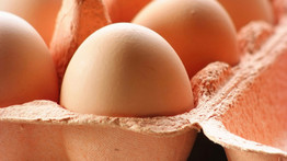 Agrármarketing Centrum: a tojás maga a csoda!