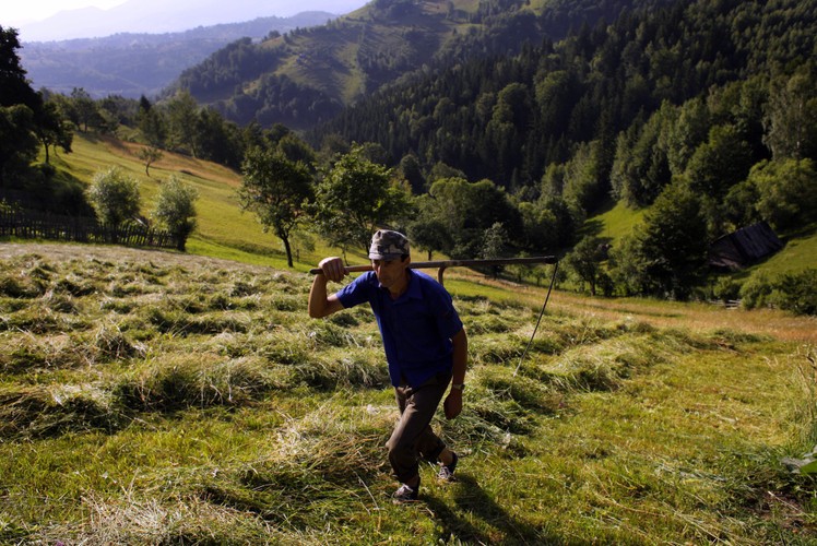 Krajobrazy w wiosce Magura w rumuńskiej Transylwanii