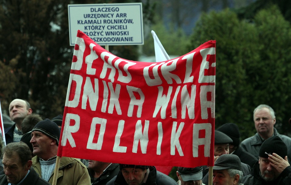 Protest hodowców ogórków