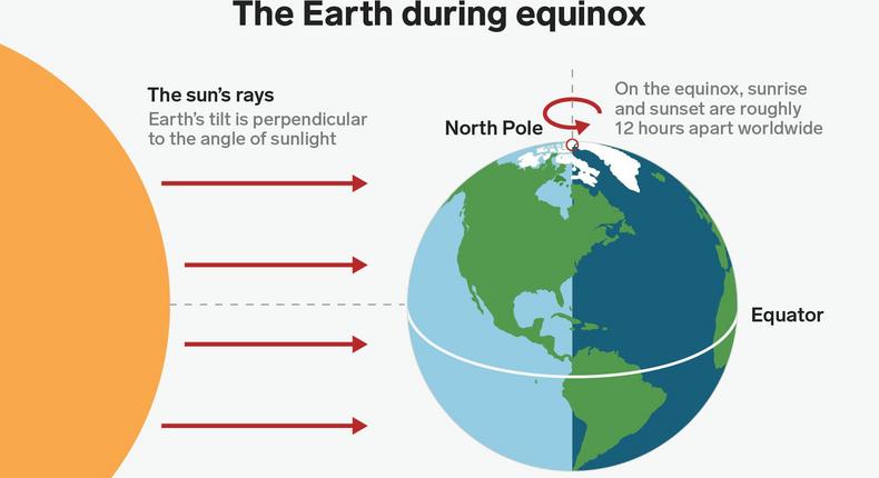 An illustration of earth during an equinox.Shayanne Gal/Business Insider