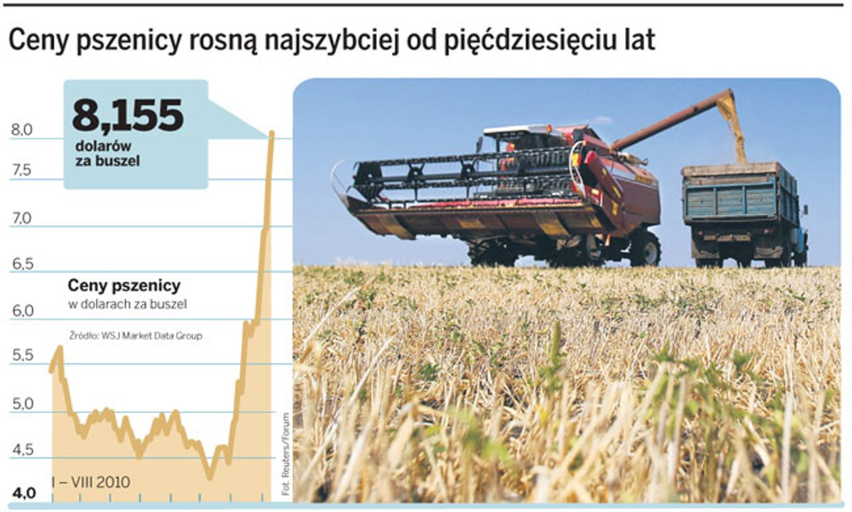 Ceny pszenicy rosną najszybciej od pięćdziesięciu lat