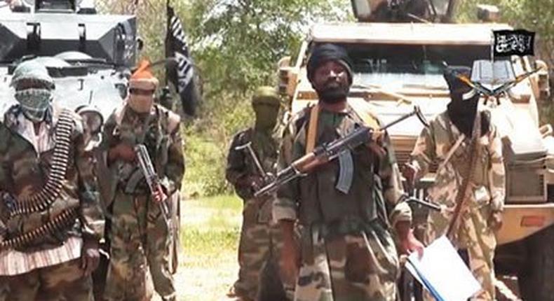 Scores of terrorists flee Borno villages - Army 