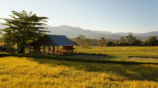 Tajlandia: Potomkowie Dzieci Kwiatów mieszkają w Pai