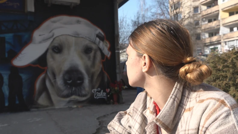 Baći, pas iz Užica