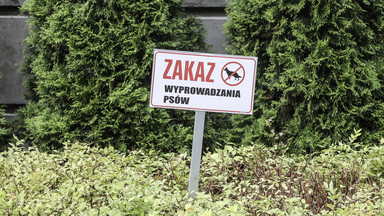 Zakaz wyprowadzania psów na trawnik - czy to legalne? Okazuje się, że nie do końca