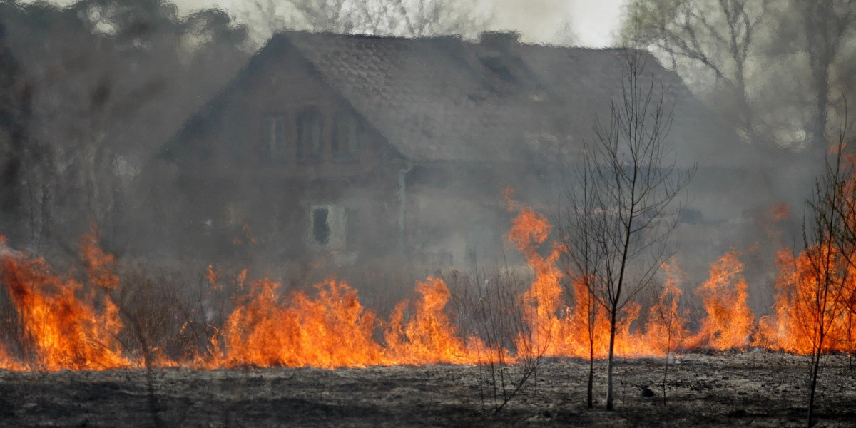 Straż pożarna z Łodzi ostrzega: nie wypalaj trawy. To grozi tragedią