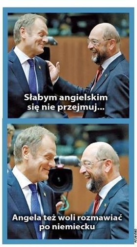 mem / Lewak zmasakrowany