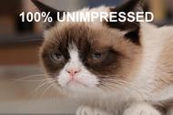 Grumpy Cat mem