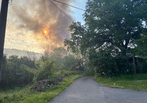 Požar na Košutnjaku