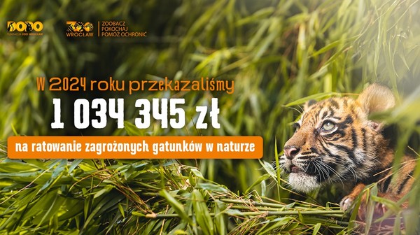 Rekordowe środki trafiły na pomoc dzikim zwierzętom