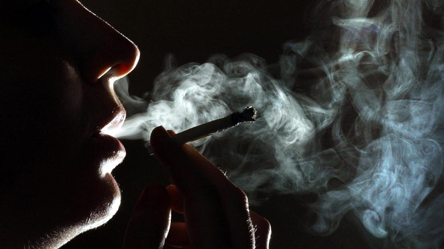 Record 269,321 drug seizures hit England and Wales as cannabis hauls surge 71%