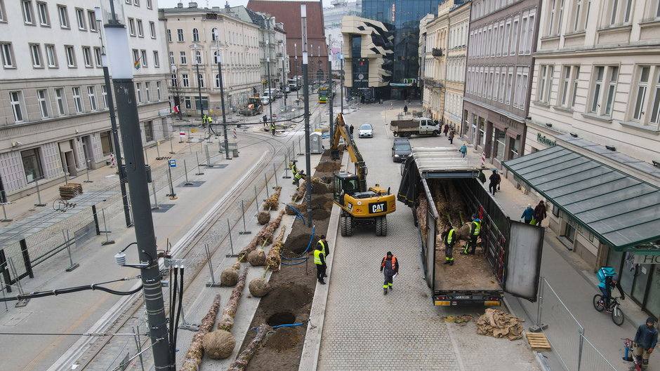 Pierwsze drzewa dotarły na przebudowywane al. Marcinkowskiego