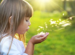 Alergolog: Tegoroczny sezon alergiczny odbiega od normy... Jest łagodniejszy