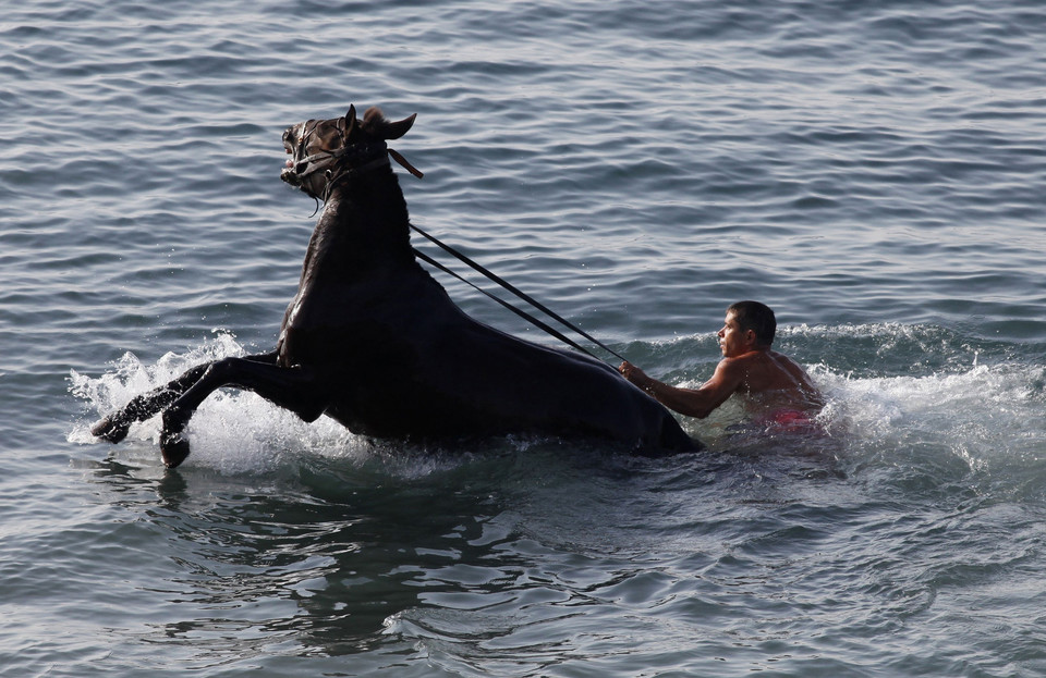 A man tries to control a horse while trying to wash it in the Black Sea