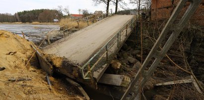 Koszmar mieszkańców Ogonowa. Wszystko przez bobry