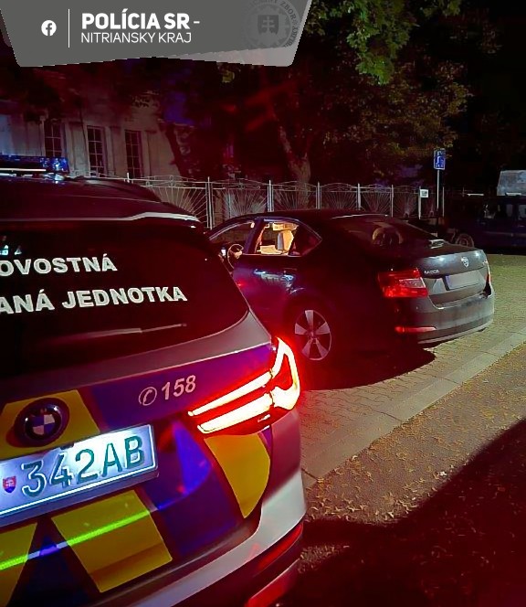 Hliadka zadržala muža, pri sebe mal drogy i arzenál obranných zbraní.
