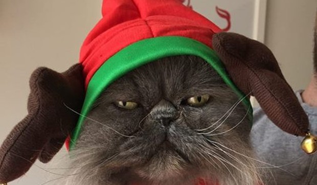 macka foto imgur bskyb3