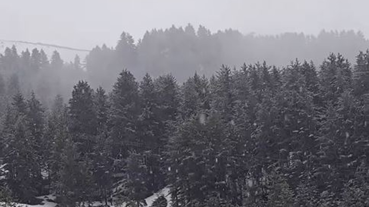 Sneg na Brezovici