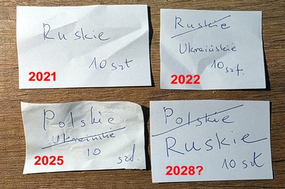 Pierogi polskie i ruskie drony wybuchające w głowach owiec płci męskiej. Jak Putin próbuje wygrać wojnę hybrydową w sieci i realu