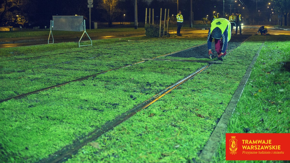 Zmniejszają hałas, pomagają oczyszczać powietrze, latem obniżają temperaturę powietrza. W stolicy powstają kolejne zielone torowiska tramwajowe. Jest ich już prawie 20 km. Przez kilka ostatnich nocy ekipy Tramwajów Warszawskich pracowały na Woli. Tym razem zamiast tradycyjnej trawy wokół torów posadzone zostały nowe rośliny.