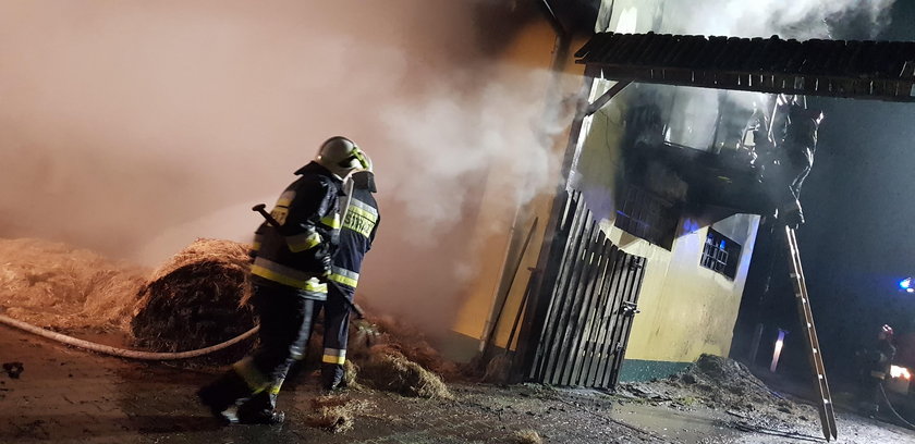 Pożar stadniny pod Białogardem. Wstrząsające zdjęcia