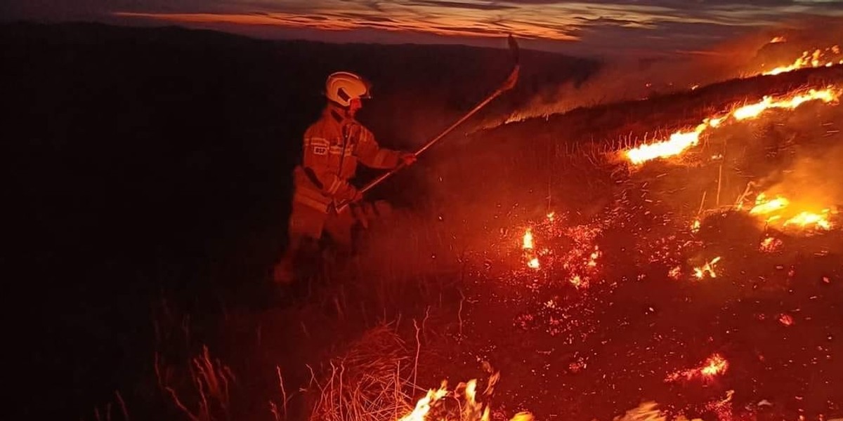 Ostra pomarańczowa łuna w Bieszczadach! Płonie Połonina Caryńska. Ogień objął 5 hektarów.