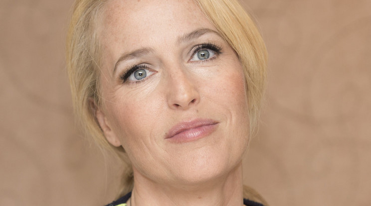 Gillian Andersonnak elege lett /Fotó: Northfoto