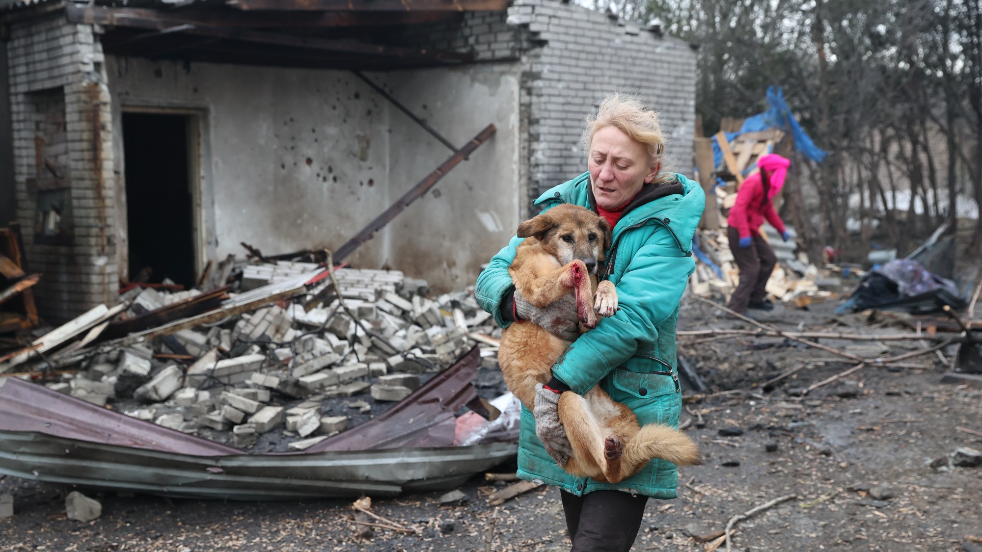 Ľudia evakuujú zranených psov po ruskom leteckom útoku na útulok pre psov v Záporožií.
