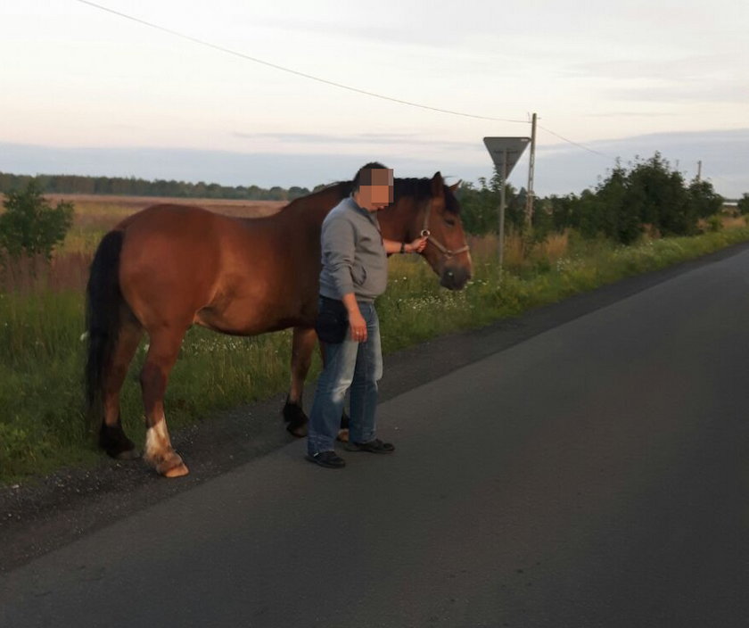 Mój Wezyr chciał wrócić do domu