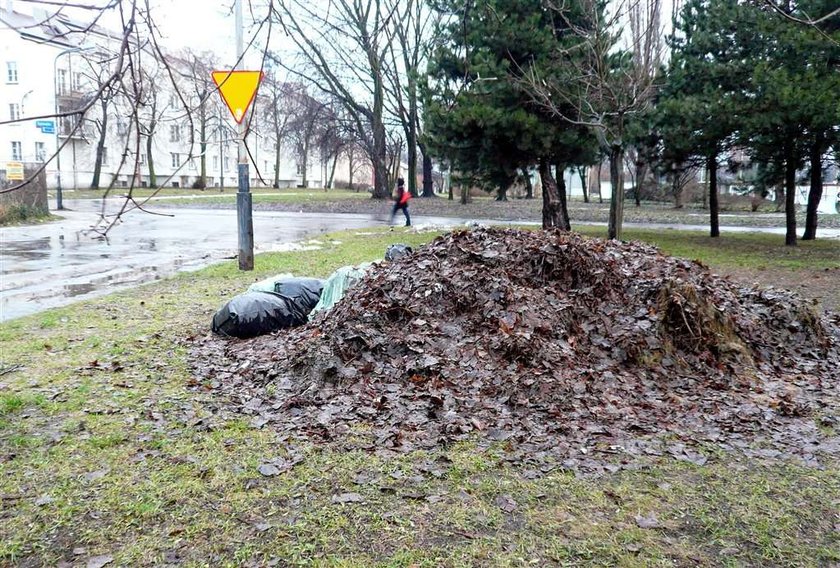 Tak się sprząta w Łodzi